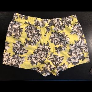 Jcrew shorts